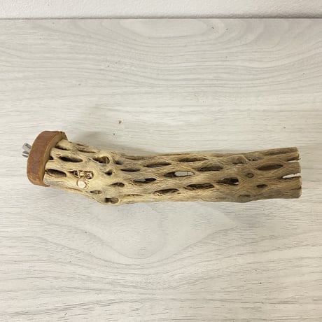 カクタスパーチ 極小サイズ⑤ 直径（約2-3cm）長さ/15cm