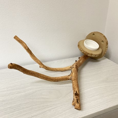 ピノキオの鼻①