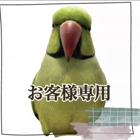 【yuka yos様専用】ツタの殿様パーチ HOEI465 T字スタンドパーチ