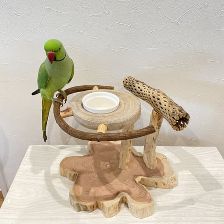 ツタとカクタス アリスのお茶会テーブル