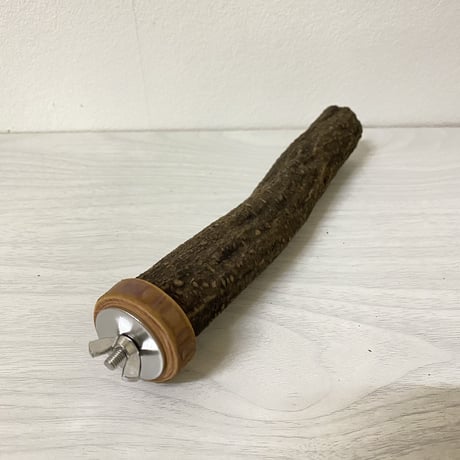 自然木（ツタ）のパーチ②　直径2cm 長さ18cm
