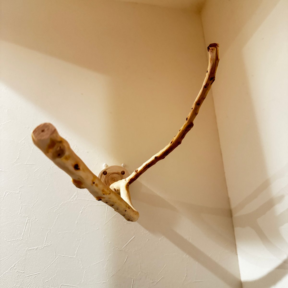貝塚伊吹木製昆虫止まり木 約65cm 貝塚伊吹木製昆虫止まり木 約65cm