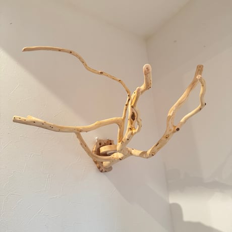 【Ｍ様専用】おやつ入れつきピノキオの鼻 【インコ 止まり木 自然木】