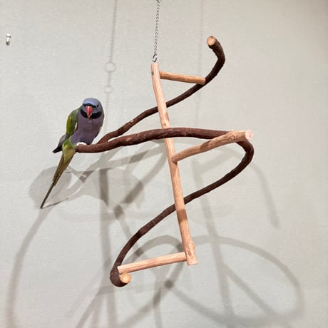 小動物◯Natural tree螺旋棒◯フクロモモンガ バード 小動物◯Natural tree螺旋棒◯フクロモモンガ バード