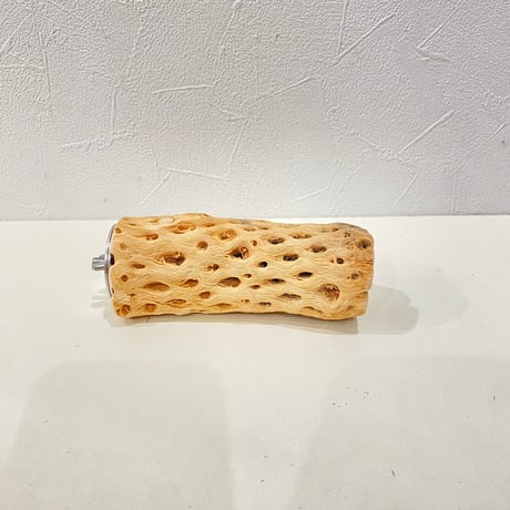 カクタスパーチ③ 直径約4.5cm/長さ12cm