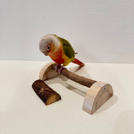幼鳥・老鳥・介護用　置き型パーチ②【セキセイ・ウロコ・オカメ】