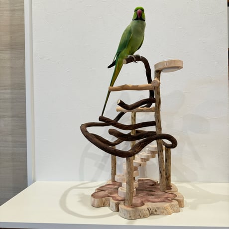 螺旋階段とツタパーチのバードアスレチック【インコのおもちゃ・自然木のとまり木】