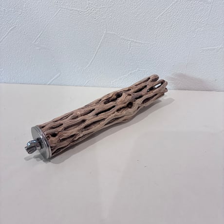 カクタスパーチ極小サイズ⑩ 直径2.5~3cm/長さ15cm【自然木 止まり木 バンブルフット 趾瘤症 】