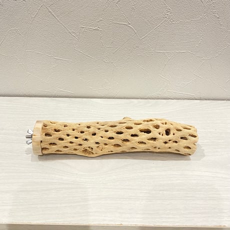 カクタスパーチ小直径3~4cm 長さ20cm ⑨