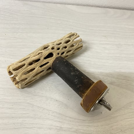【t-k様専用】カクタスパーチ極小　直径2〜3cm／長さ10cm &15cm