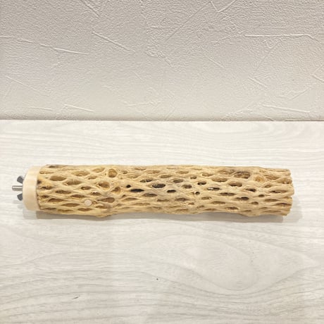 カクタスパーチ小㉒ 直径約3~4cm 長さ20cm