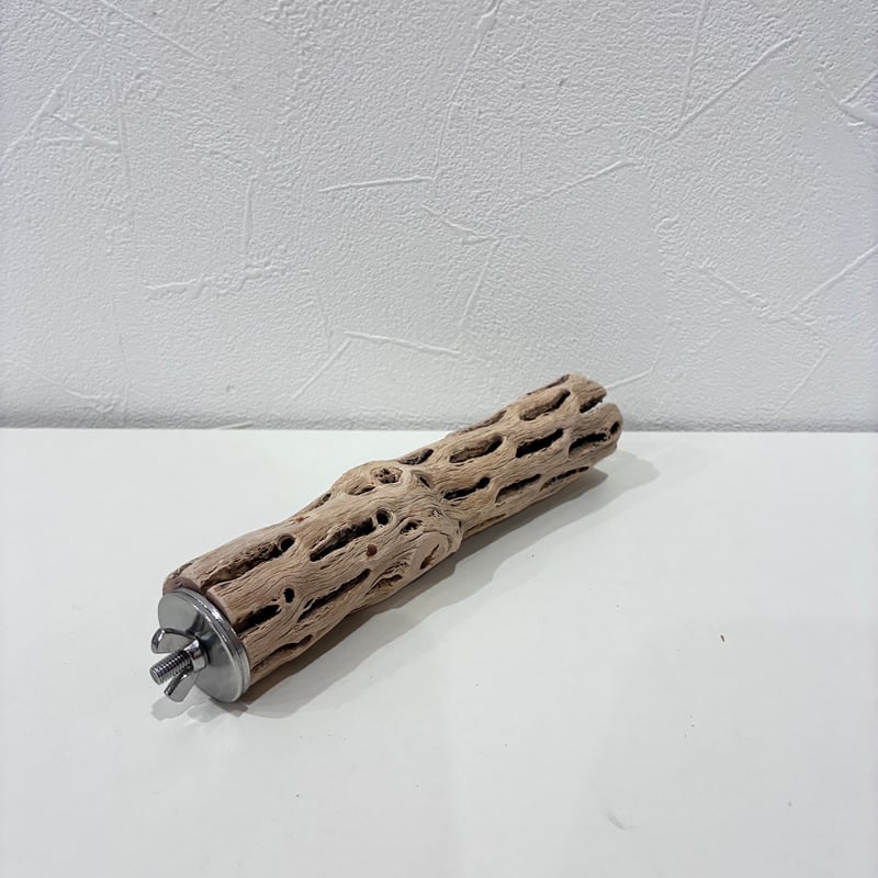 カクタスパーチ極小サイズ⑱ 直径約3cm/長さ15cm【自然木 止まり木