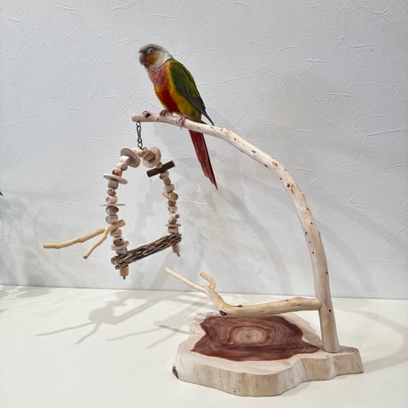 CATEGORY ブランコ | 自然木の鳥用品 鳥豆堂【トリマメドウ】バード