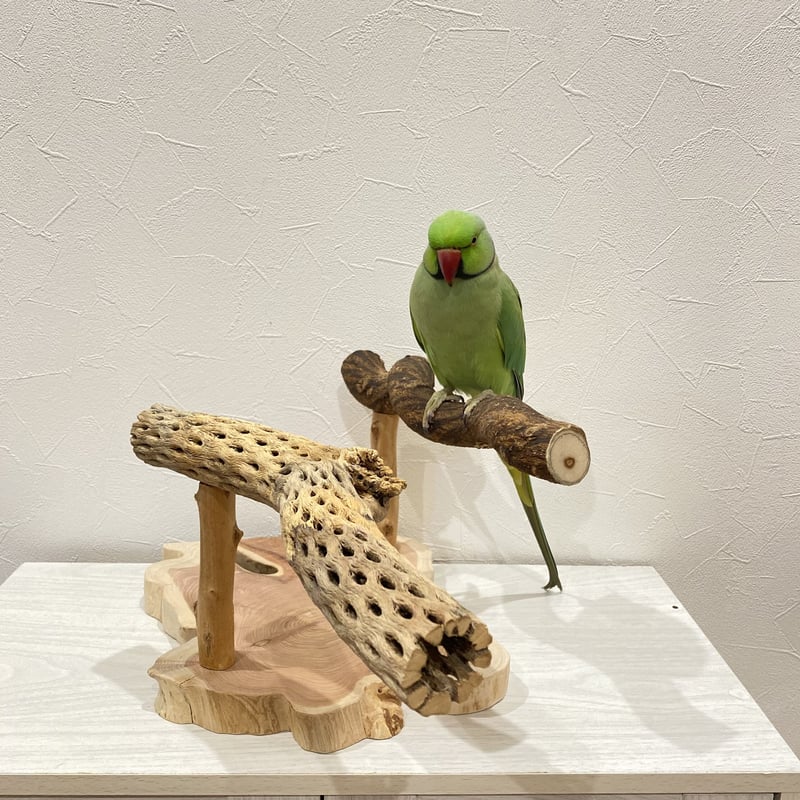 2ロング　自然素材　ウッドクライミング　中型インコ　ガジガジバードトイ　止まり木 137 ロング 自然素材 ウッドクライミング インコ ガジガジバードトイ