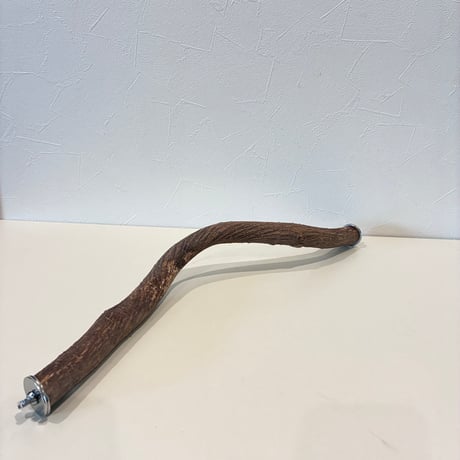【Ｔ様専用】殿様パーチ（自然木ツタ） HOEI465サイズ  直径約2.5cm