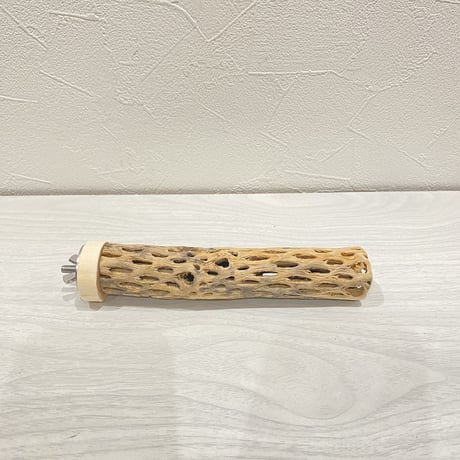 カクタスパーチ④  極小 直径3cm前後 長さ15cm