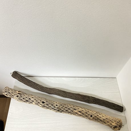 【rriiccaa12様専用】カクタスパーチ 中サイズ 直径（約5.5cm）ツタパーチ 長さ/59.5cm