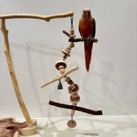 国産ウッドビーズのおでんくん① ステンレスベル付き　【インコ・小鳥のおもちゃ　自然木の止まり木】