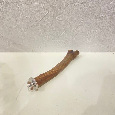自然木（ツタ）パーチ ⑫ 直径約2cm/長さ18cm