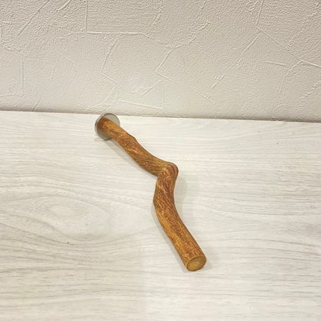 自然木（ツタ）パーチ①