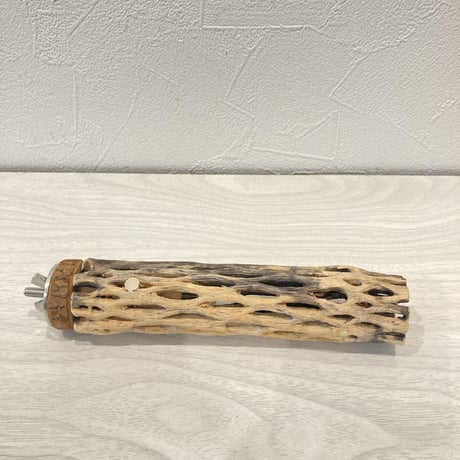 カクタスパーチ⑧  極小 直径3cm前後 長さ15cm