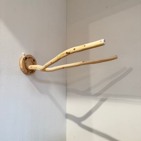 桧のピノキオの鼻①