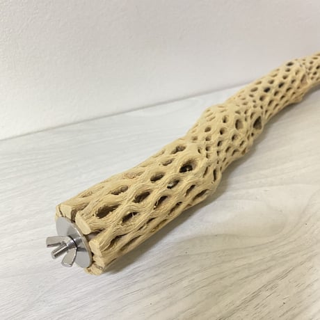 ケージサイズカクタスパーチ④ 小サイズ直径3-4cm HOEI465サイズ