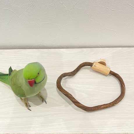 自然木（ツタ）のドーナツパーチビックサイズ Ｏ パーチ直径1cm／円直径15.5×19cm