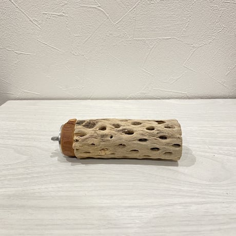 カクタスパーチ⑦  小直径約4cm前後/10cm