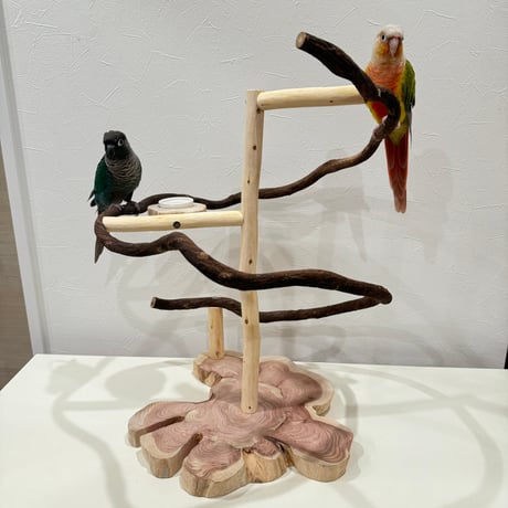 ツタのぐるぐるバードアスレチック【インコのおもちゃ・ブランコ・自然木のとまり木】
