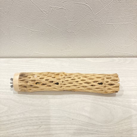 カクタスパーチ小㉕ 直径約3~4cm 長さ20cm