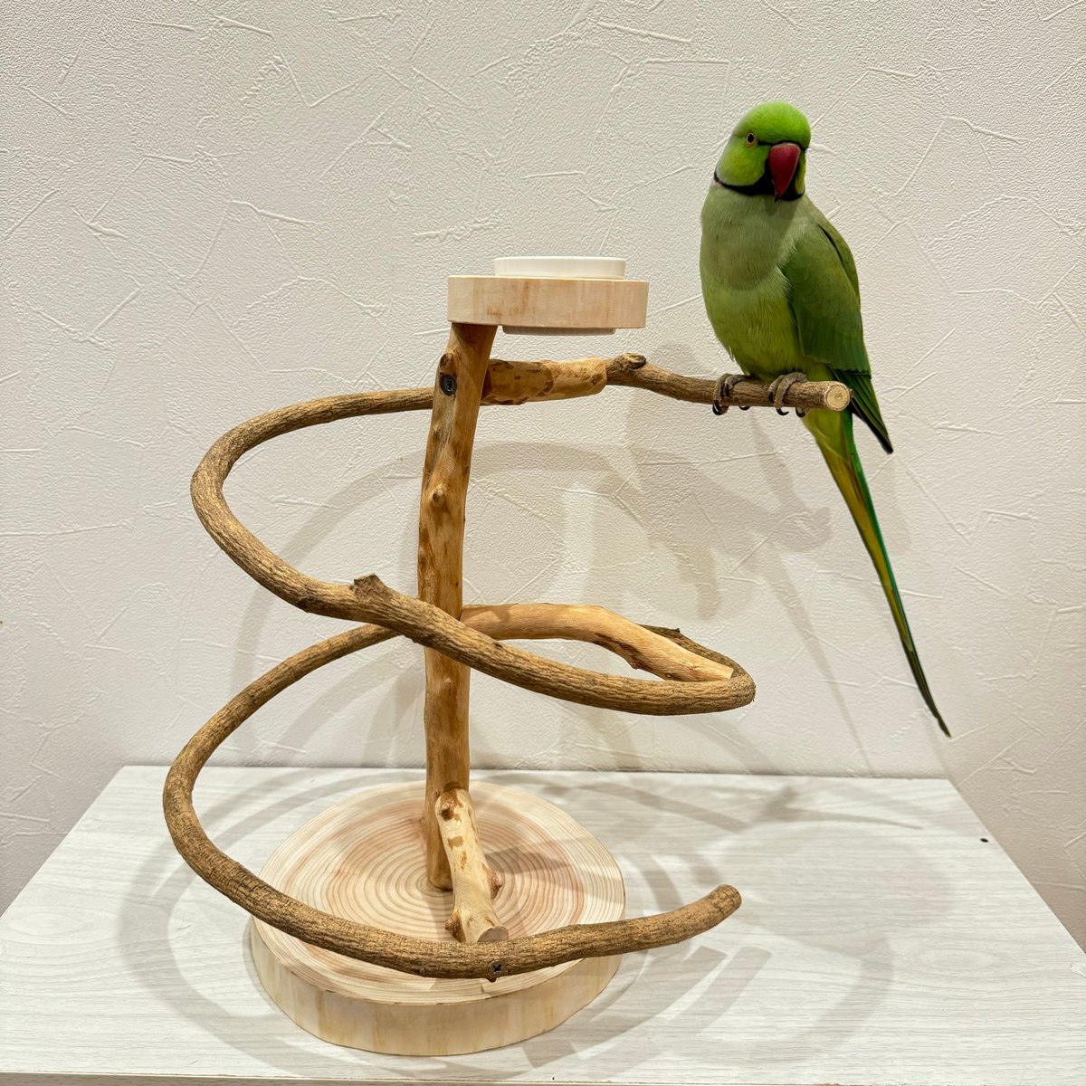 ツタのぐるぐるバードアスレチック【インコのおもちゃ・自然木の