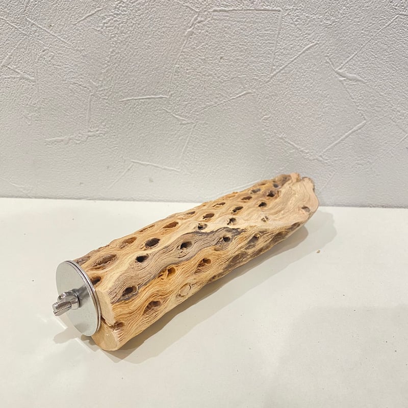 カクタスパーチ(M) 直径約4.5~5cm/長さ20cm | 自然木の鳥用品 鳥豆堂