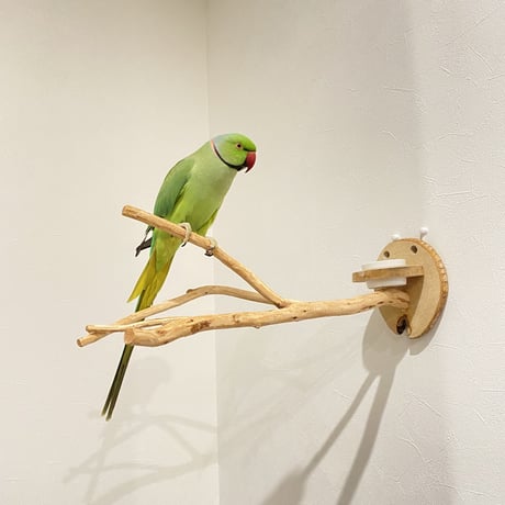 ピノキオの鼻 ③  おやつ入れ付き