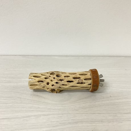 【mamii__038様専用】カクタスパーチ極小　直径2〜3cm／長さ10cm