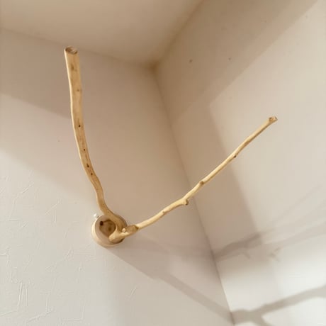 貝塚伊吹のピノキオの鼻① 【インコの止まり木 自然木 天然木】