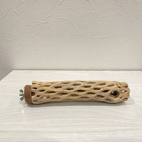 カクタスパーチ⑪  小 直径約4cm前後/17cm