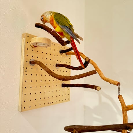 コトリのなる木 自由にカスタム 壁掛けバードアスレチック【インコのおもちゃ・自然木のとまり木】