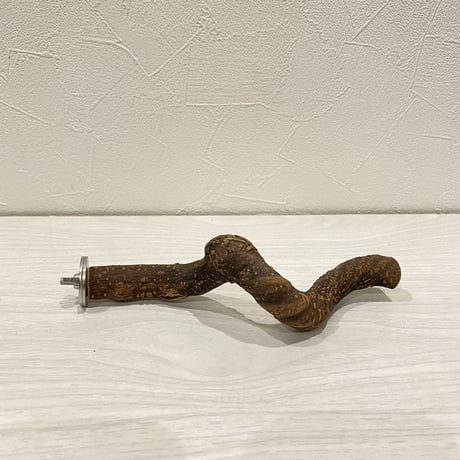 自然木（ツタ）パーチ① 直径2cm 長さ9cm