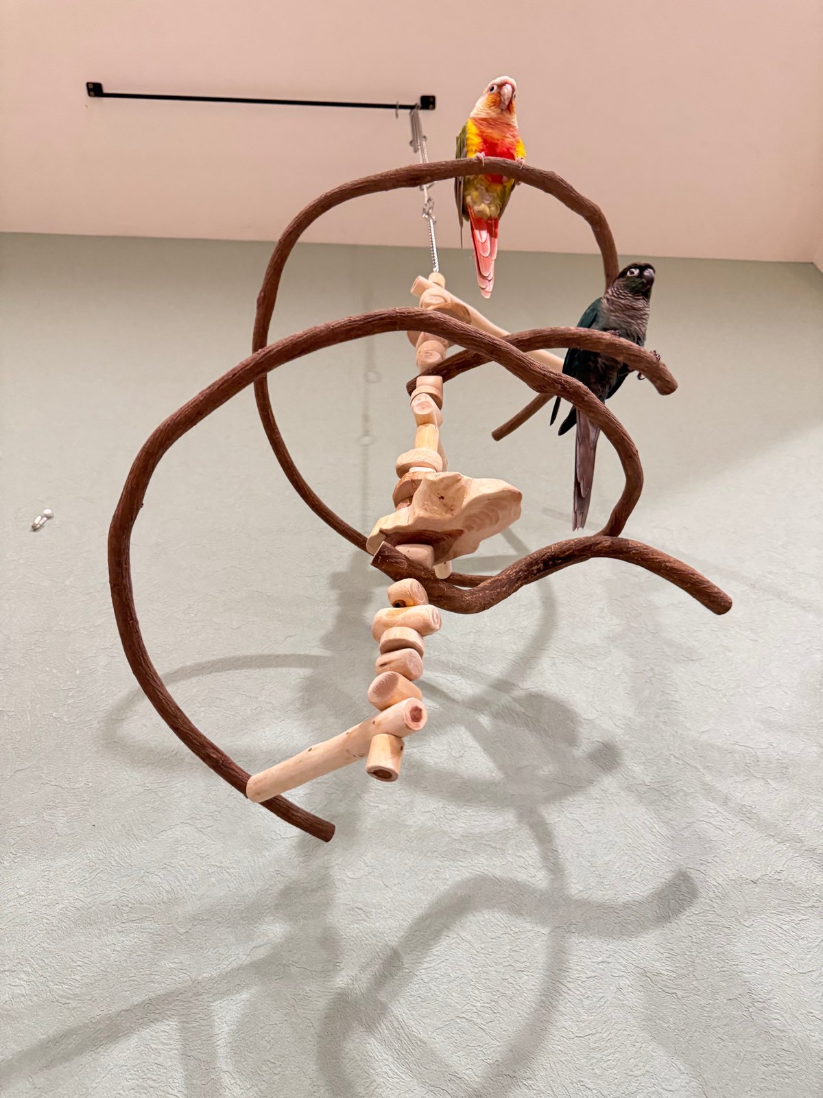 コトリのなる木カスタム つり下げゆらゆらバードアスレチック 【インコ