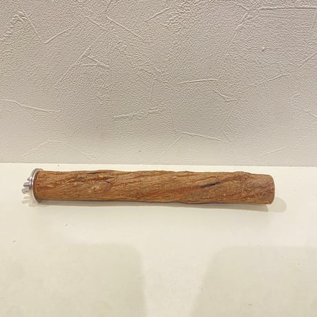 自然木（ツタ）パーチ 直径約2.5cm/長さ20cm