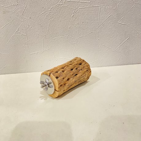 カクタスパーチ② 直径約5cm/長さ10cm