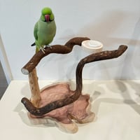 おやつ入れ付きツタのスタンドパーチ