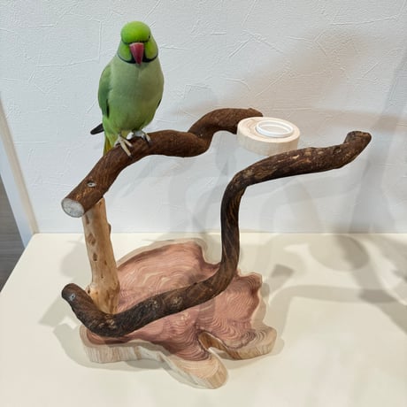 おやつ入れ付きツタのスタンドパーチ