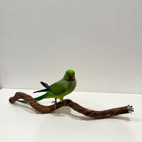自然木（ツタ）うねうねパーチ①HOEI465 直径約2.3cm/長さ44cm