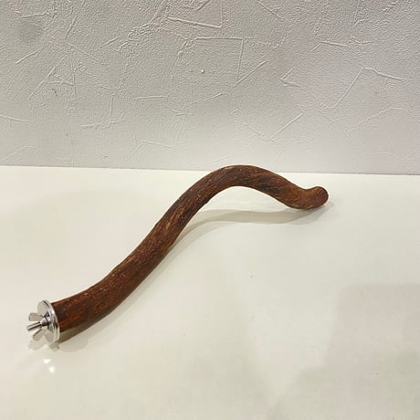 自然木（ツタ）パーチ 直径約2.1cm/長さ30cm