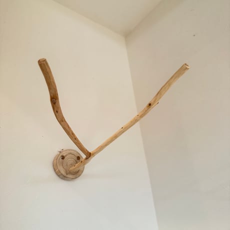 桧のピノキオの鼻②