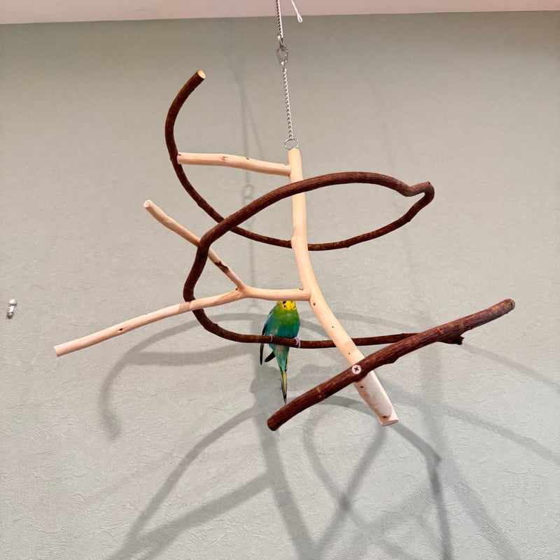 コトリのなる木ミニ ツタのつり下げバードアスレチック | 自然木