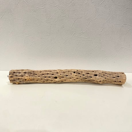 ケージサイズカクタスパーチ③ 直径約5cm HOEI465サイズ