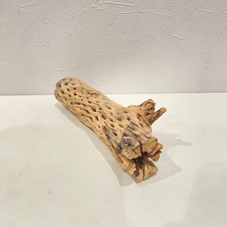 カクタスパーチ(W) 直径約5.5cm/長さ25cm